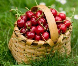 گیلاس، سودمند در درمان خشکی پوست